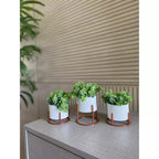 Kit 3 Vasos Mini com Suporte – Decoração Moderna e Compacta